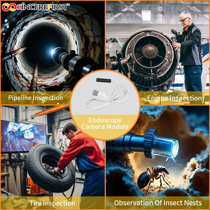 product-800-800 product-800-800