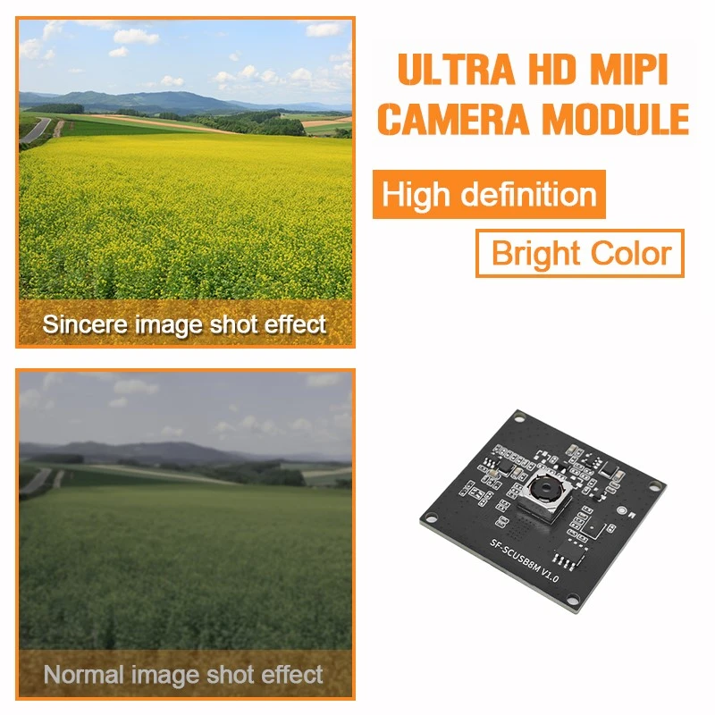 product-800-800 product-800-800