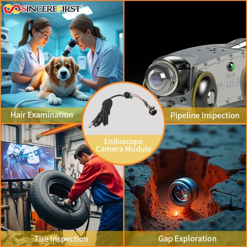 product-800-800